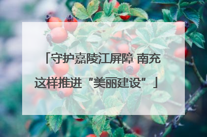 守护嘉陵江屏障 南充这样推进“美丽建设”