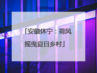 安徽休宁：荷风摇曳夏日乡村