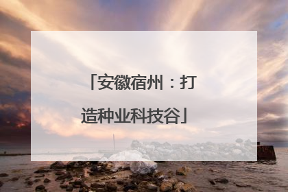 安徽宿州：打造种业科技谷