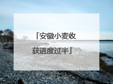 安徽小麦收获进度过半