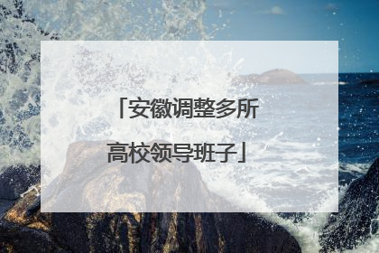 安徽调整多所高校领导班子