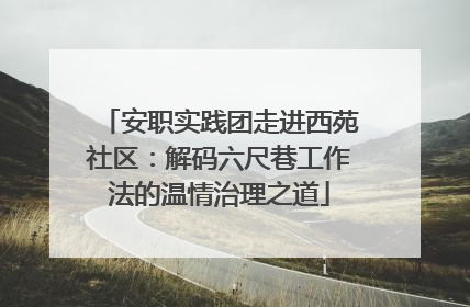 安职实践团走进西苑社区：解码六尺巷工作法的温情治理之道