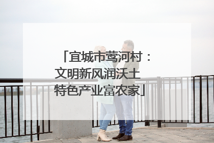 宜城市莺河村：文明新风润沃土 特色产业富农家