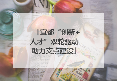 宜都“创新+人才”双轮驱动助力支点建设