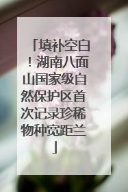 填补空白！湖南八面山国家级自然保护区首次记录珍稀物种宽距兰