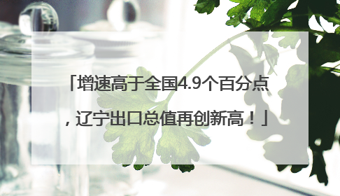 增速高于全国4.9个百分点，辽宁出口总值再创新高！
