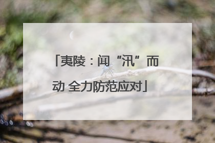 夷陵：闻“汛”而动 全力防范应对