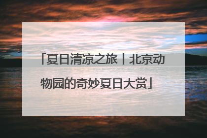 夏日清凉之旅丨北京动物园的奇妙夏日大赏