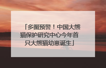 多图预警！中国大熊猫保护研究中心今年首只大熊猫幼崽诞生