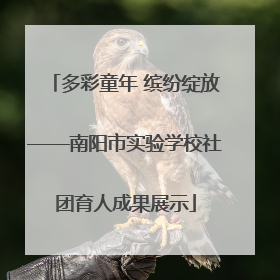 多彩童年 缤纷绽放——南阳市实验学校社团育人成果展示