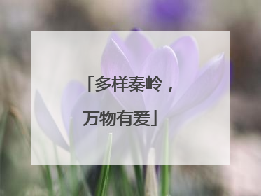 多样秦岭，万物有爱