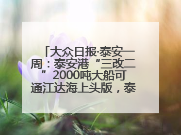 大众日报·泰安一周：泰安港“三改二”2000吨大船可通江达海上头版，泰安房产服务改革经验全省推广