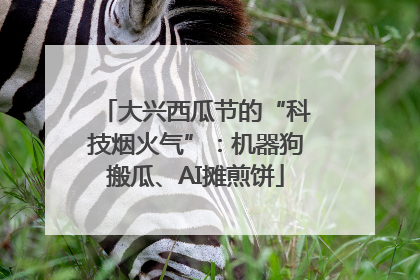 大兴西瓜节的“科技烟火气”：机器狗搬瓜、AI摊煎饼
