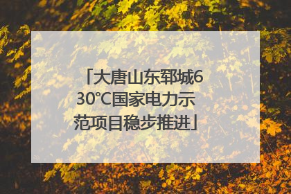 大唐山东郓城630℃国家电力示范项目稳步推进