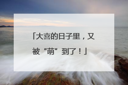 大喜的日子里，又被“萌”到了！