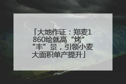 大地作证：郑麦1860绘就高“烤”“丰”景，引领小麦大面积单产提升