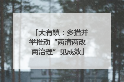 大有镇：多措并举推动“两清两改两治理”见成效