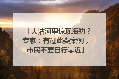 大沽河里惊现海豹？专家：有过此类案例，市民不要自行靠近
