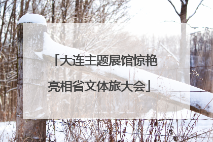 大连主题展馆惊艳亮相省文体旅大会