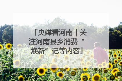 央媒看河南｜关注河南县乡消费“焕新”记等内容