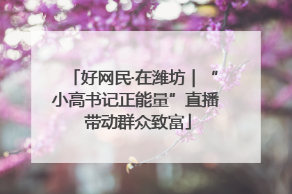 好网民·在潍坊｜“小高书记正能量”直播 带动群众致富