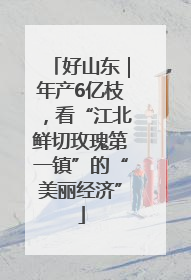好山东｜年产6亿枝，看“江北鲜切玫瑰第一镇”的“美丽经济”