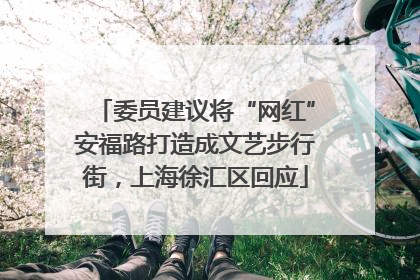 委员建议将“网红”安福路打造成文艺步行街，上海徐汇区回应