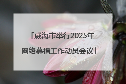 威海市举行2025年网络募捐工作动员会议