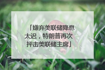 嫌弃美联储降息太迟，特朗普再次抨击美联储主席