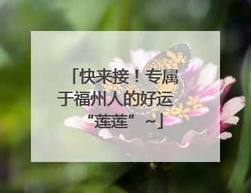 快来接！专属于福州人的好运“莲莲”~