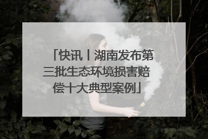 快讯丨湖南发布第三批生态环境损害赔偿十大典型案例