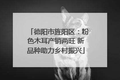德阳市旌阳区：粉色木耳产销两旺 新品种助力乡村振兴