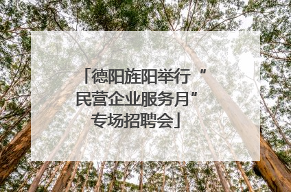 德阳旌阳举行“民营企业服务月”专场招聘会