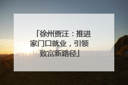 徐州贾汪：推进家门口就业，引领致富新路径