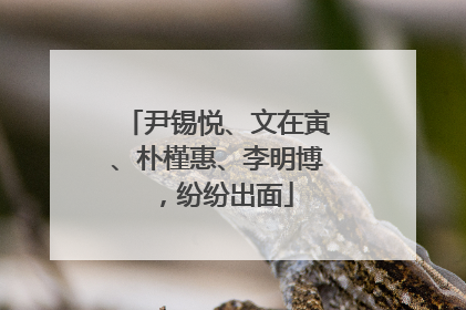 尹锡悦、文在寅、朴槿惠、李明博，纷纷出面