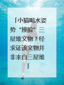 小猫喝水姿势“撞脸”三星堆文物？经求证该文物并非来自三星堆