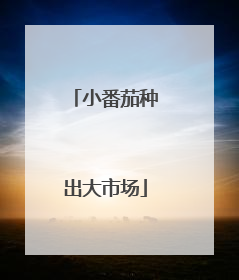 小番茄种出大市场