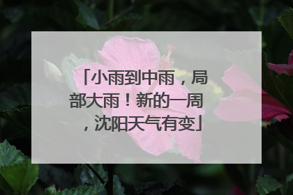 小雨到中雨，局部大雨！新的一周，沈阳天气有变