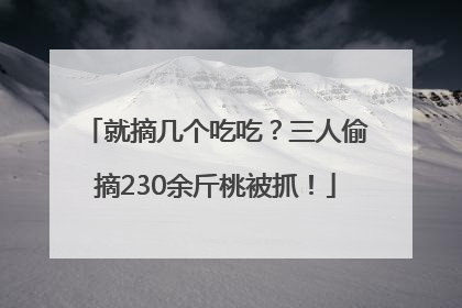 就摘几个吃吃？三人偷摘230余斤桃被抓！