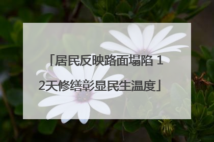 居民反映路面塌陷 12天修缮彰显民生温度