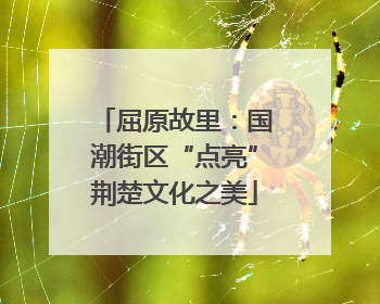屈原故里：国潮街区“点亮”荆楚文化之美