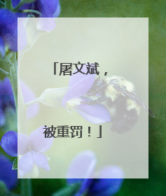 屠文斌，被重罚！