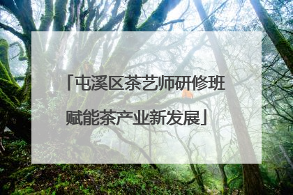 屯溪区茶艺师研修班赋能茶产业新发展