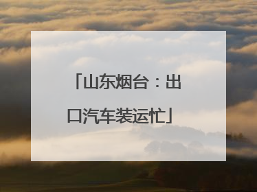 山东烟台：出口汽车装运忙