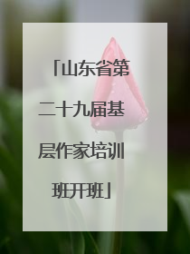 山东省第二十九届基层作家培训班开班