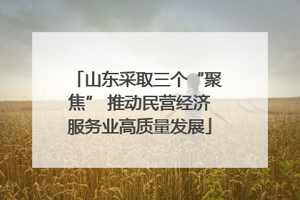 山东采取三个“聚焦” 推动民营经济服务业高质量发展