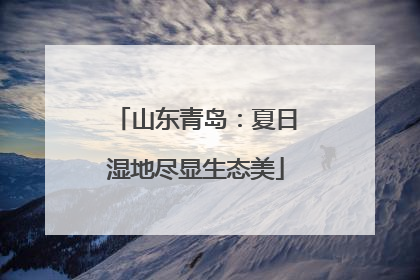 山东青岛：夏日湿地尽显生态美