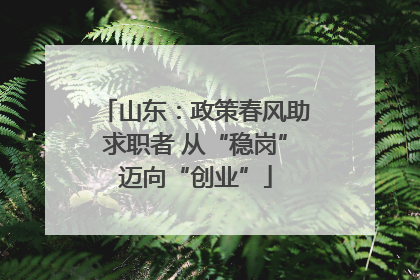 山东：政策春风助求职者 从“稳岗”迈向“创业”