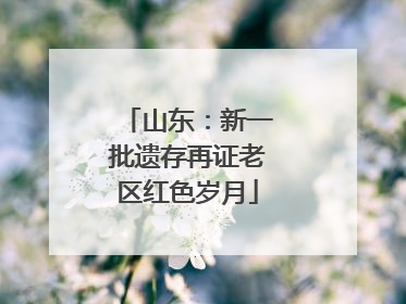 山东：新一批遗存再证老区红色岁月