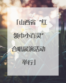 山西省“红领巾小百灵”合唱展演活动举行